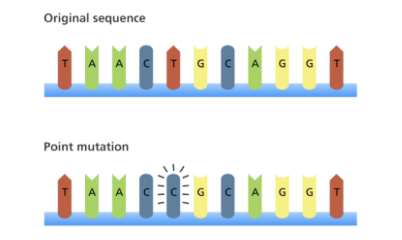 Genetic mutation